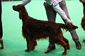 Crufts2011 617